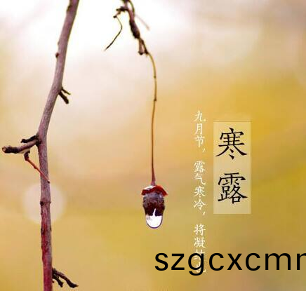 寒(han)露至，鞦意濃
